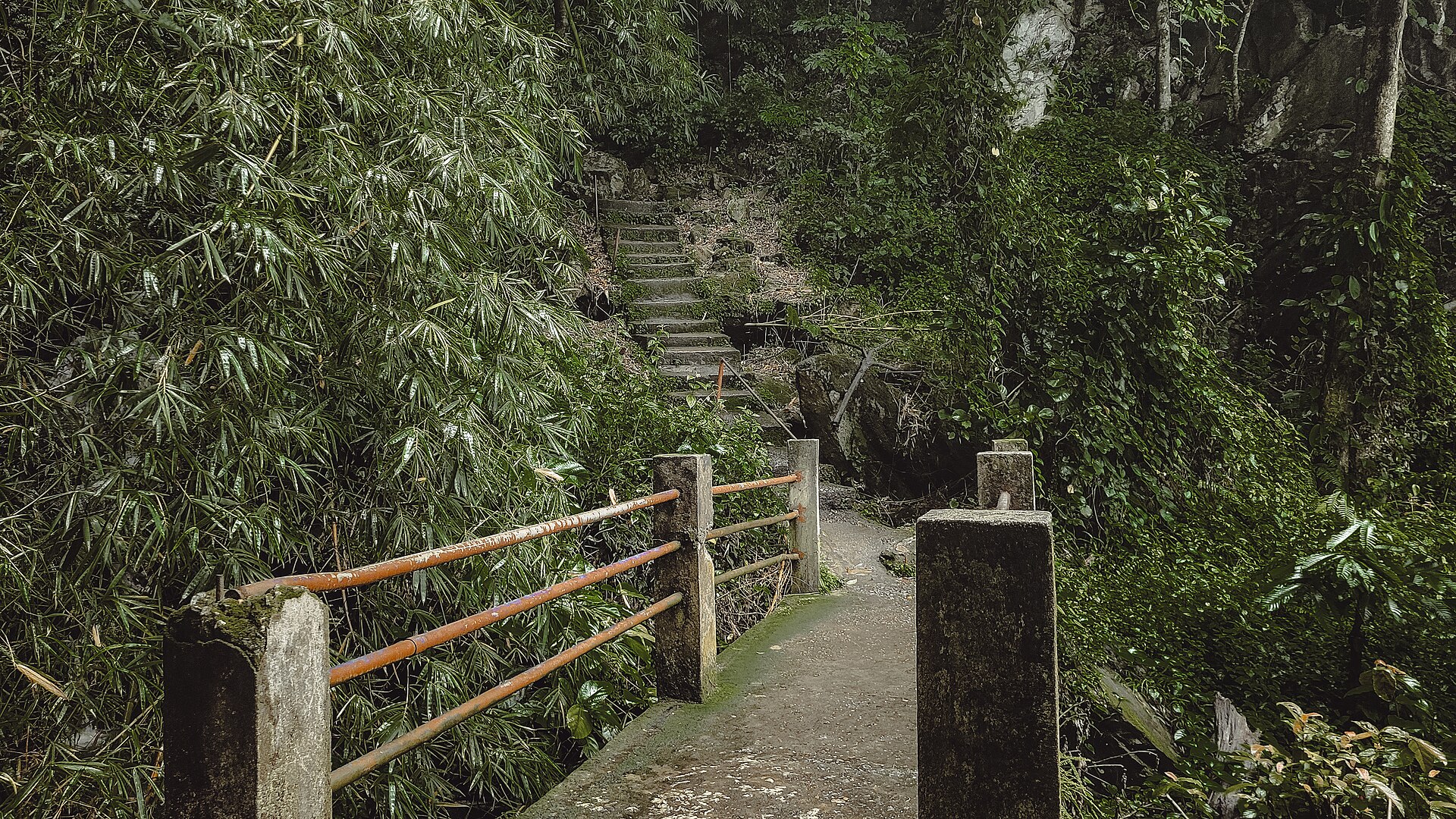 A concrete footpath and steps passing through thick vegetation at Olumirin